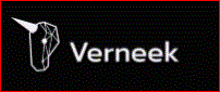 Verneek AI